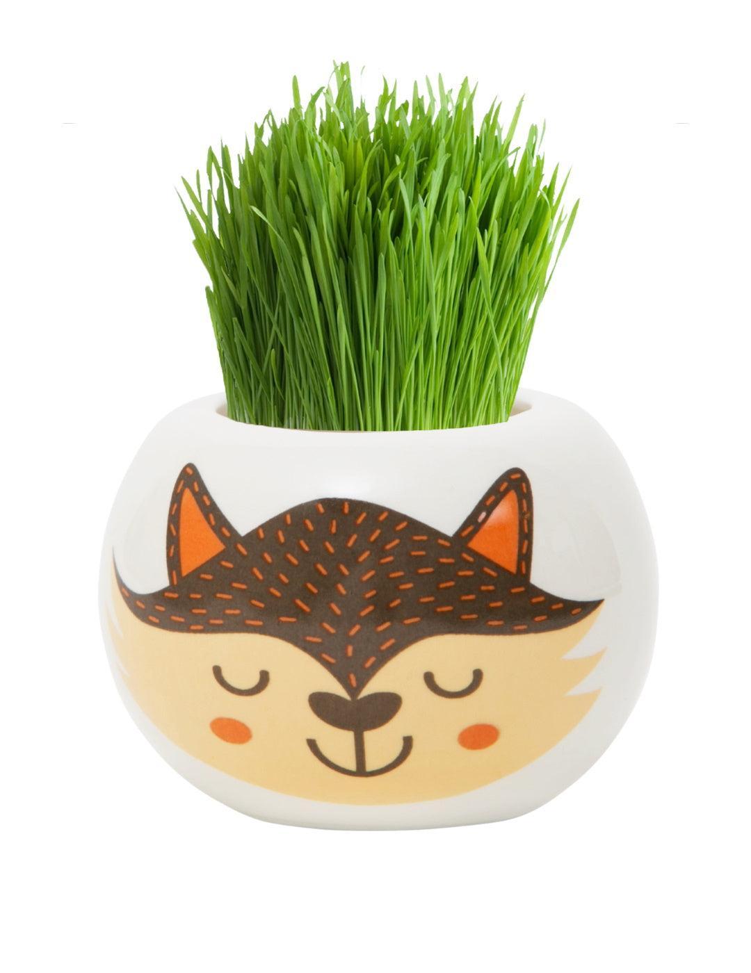 Grass Hair Kit - Wild Adventure (Fox)