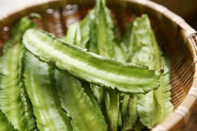winged-pea-asparagus-pea