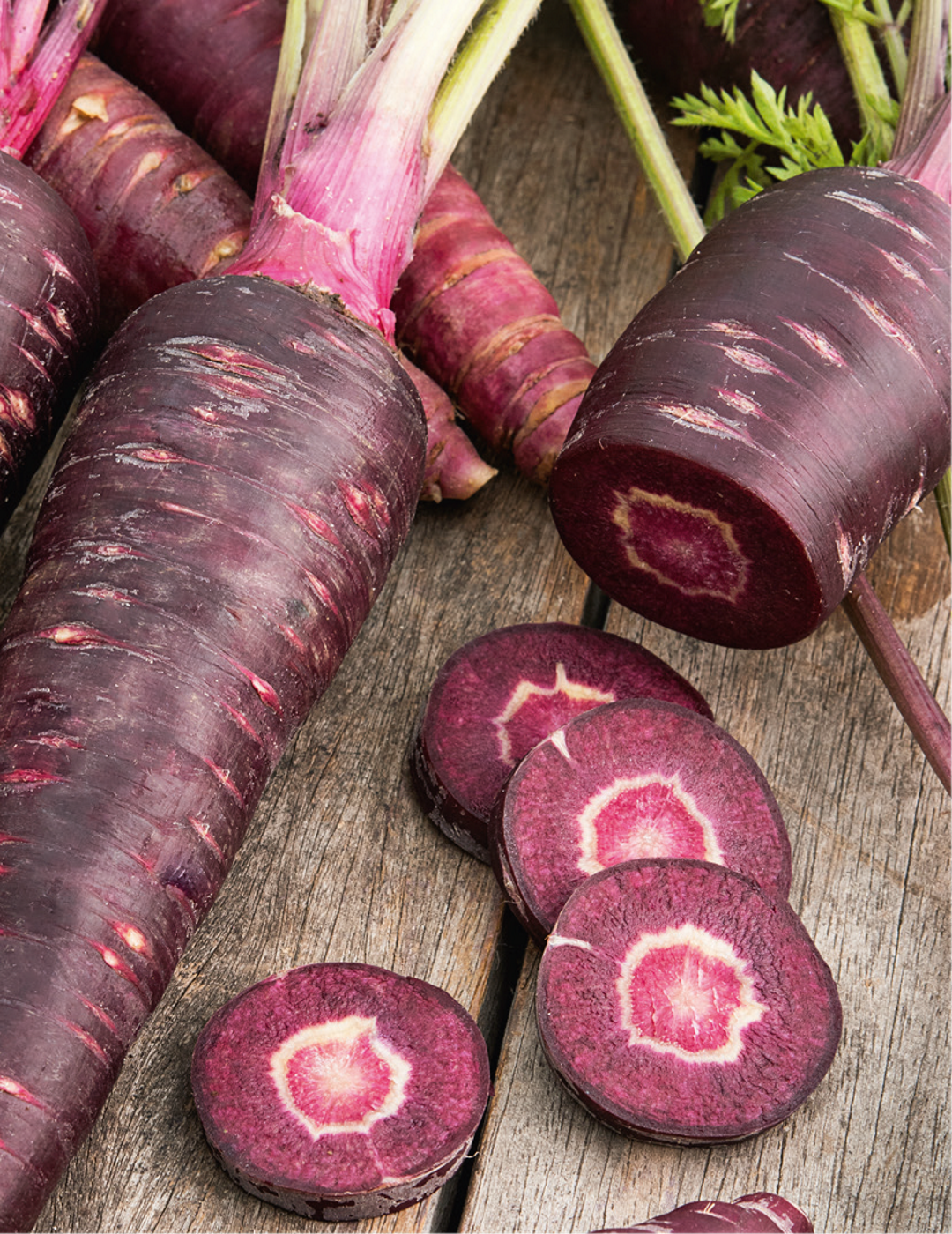 Purple Sun F1 Carrot Seeds