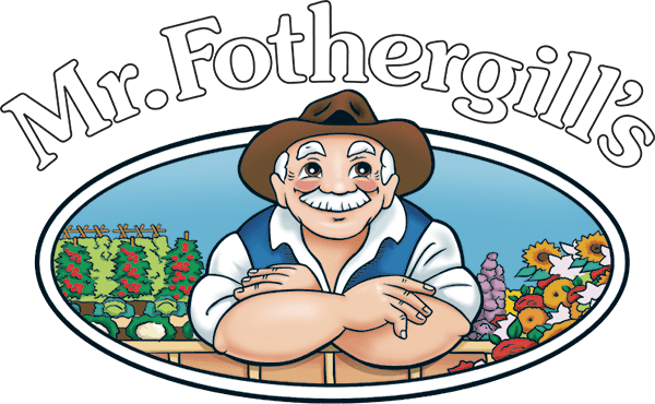 Mr Fothergill's AU