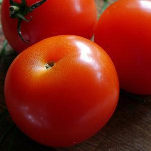 Exploring the Different Types of Tomatoes