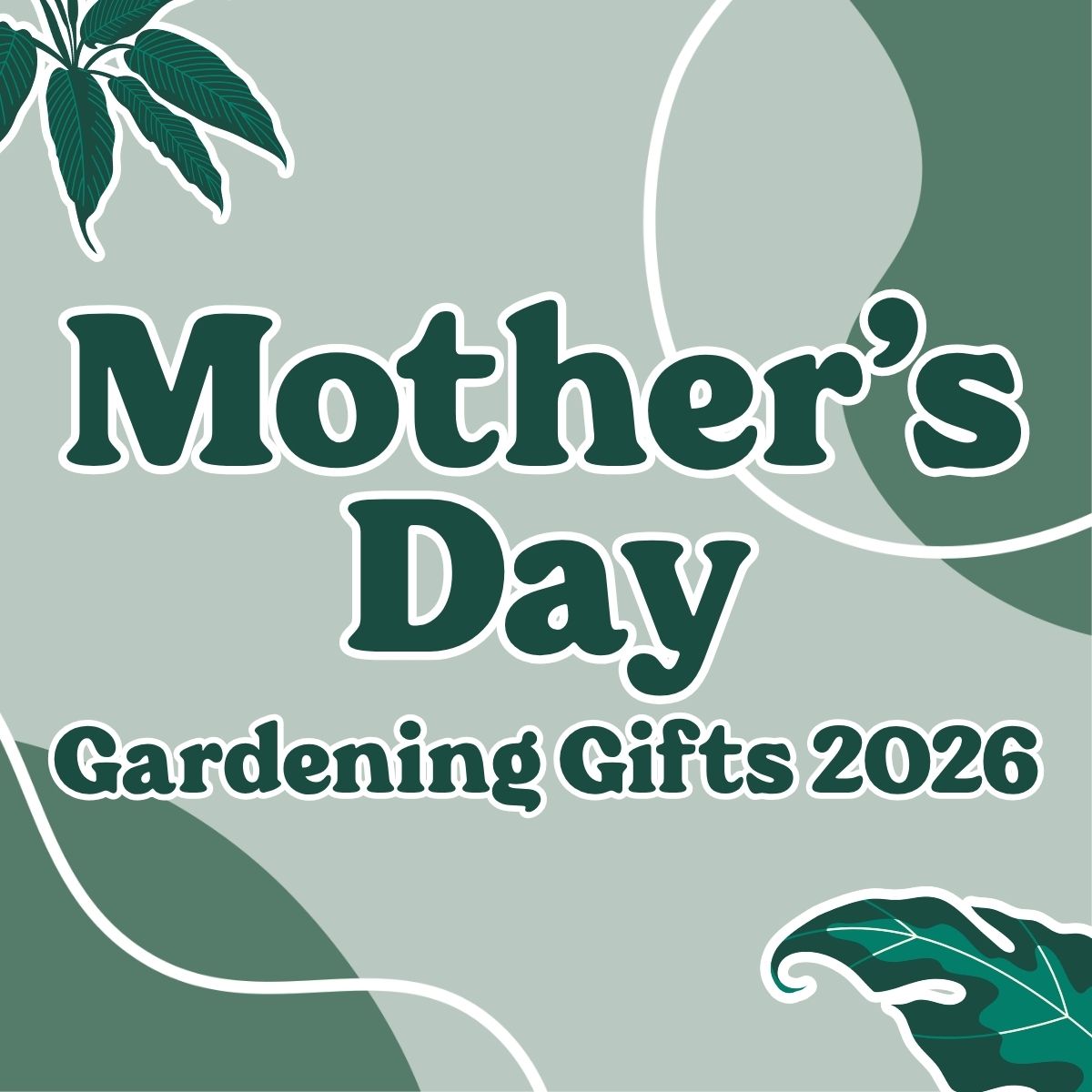 The Best Mother’s Day Gardening Gifts in Australia for 2026