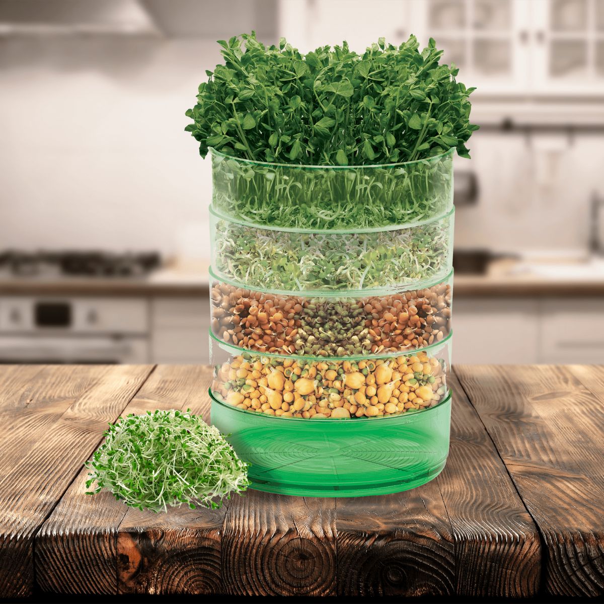 How to Use a Seed Sprouter