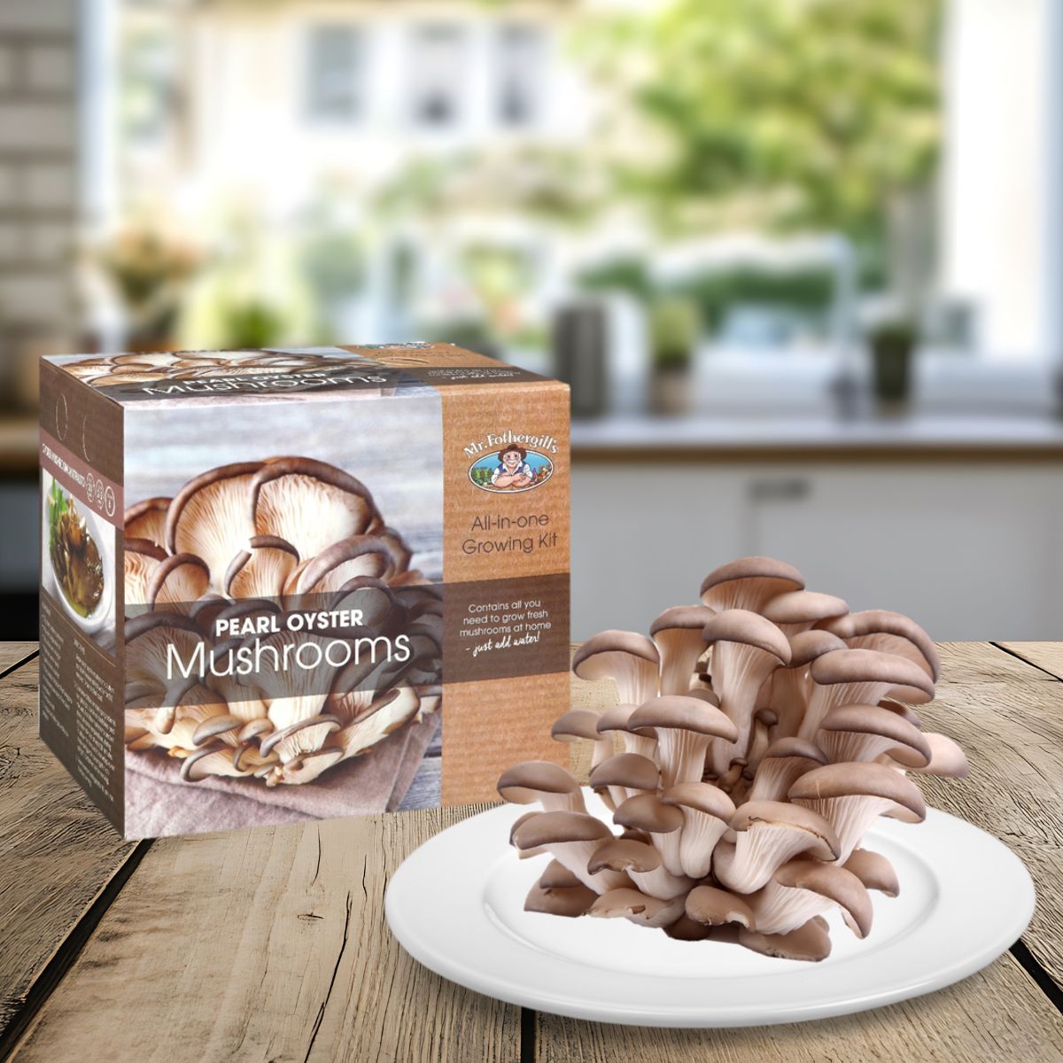 Oyster Mushroom Kits