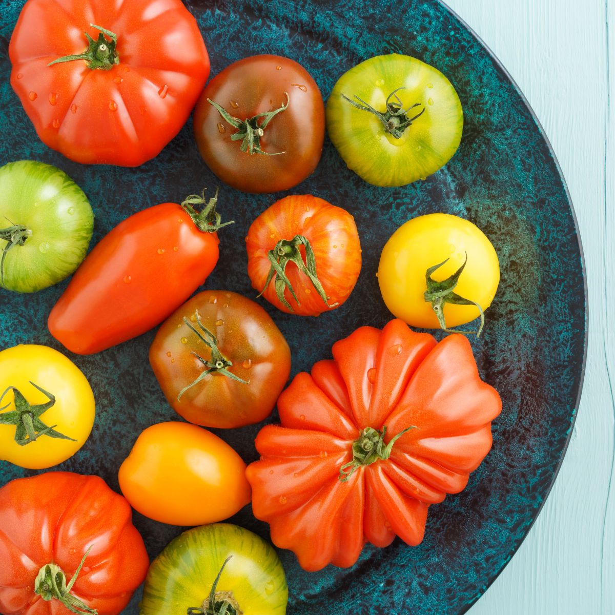 How to Grow Tomatoes