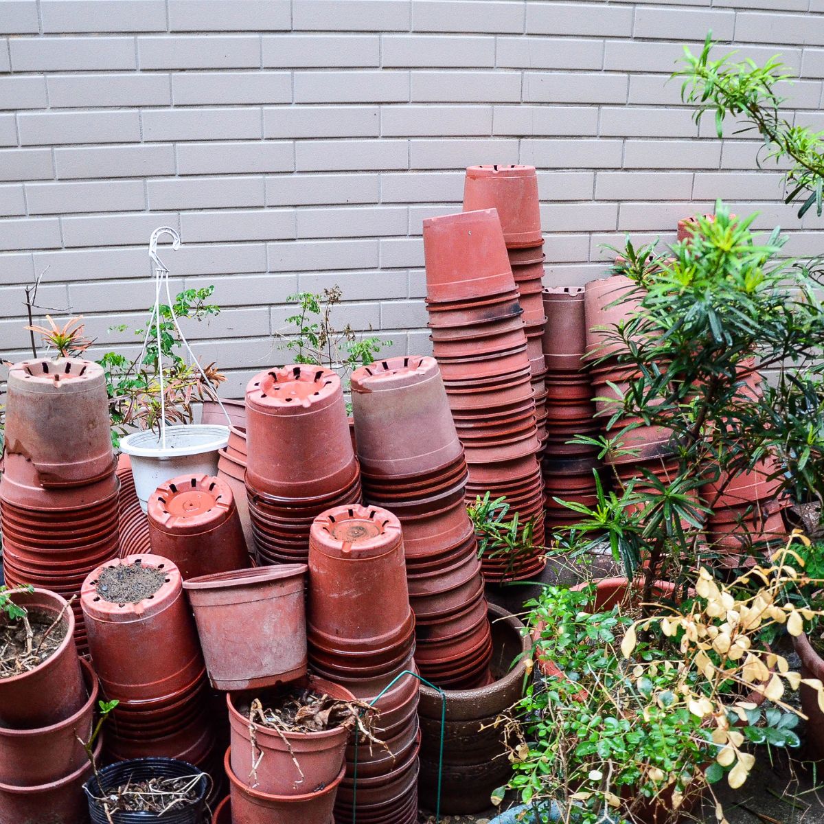 Simple Ways to Cut Plastic Waste in Your Garden