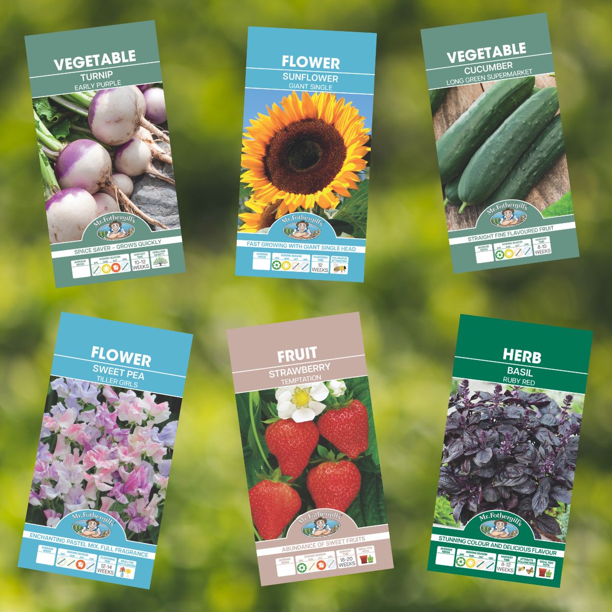 How to Read Your Seed Packet