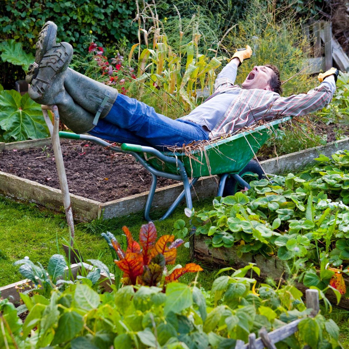 Quick and Easy Gardening