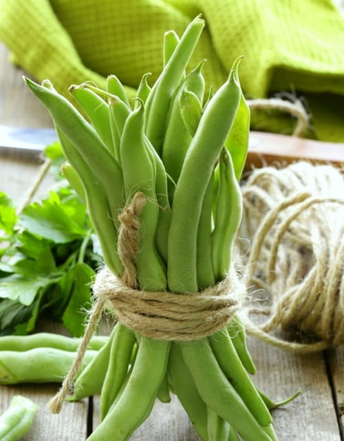 Bean Seeds