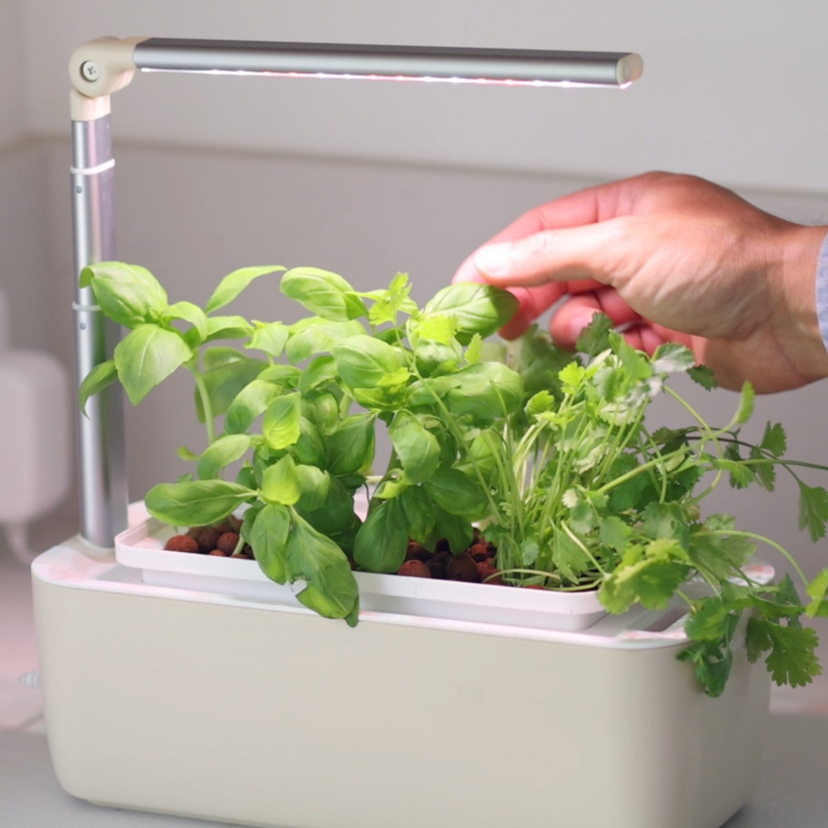HydroGardens