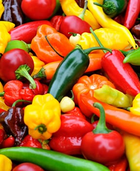 Capsicum Seeds