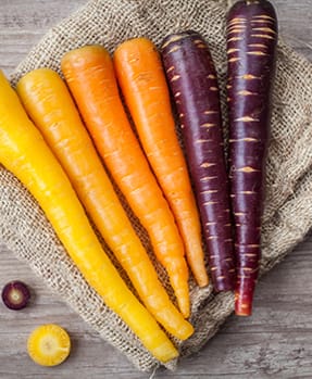 Carrot Seeds