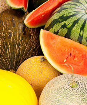 Melon Seeds