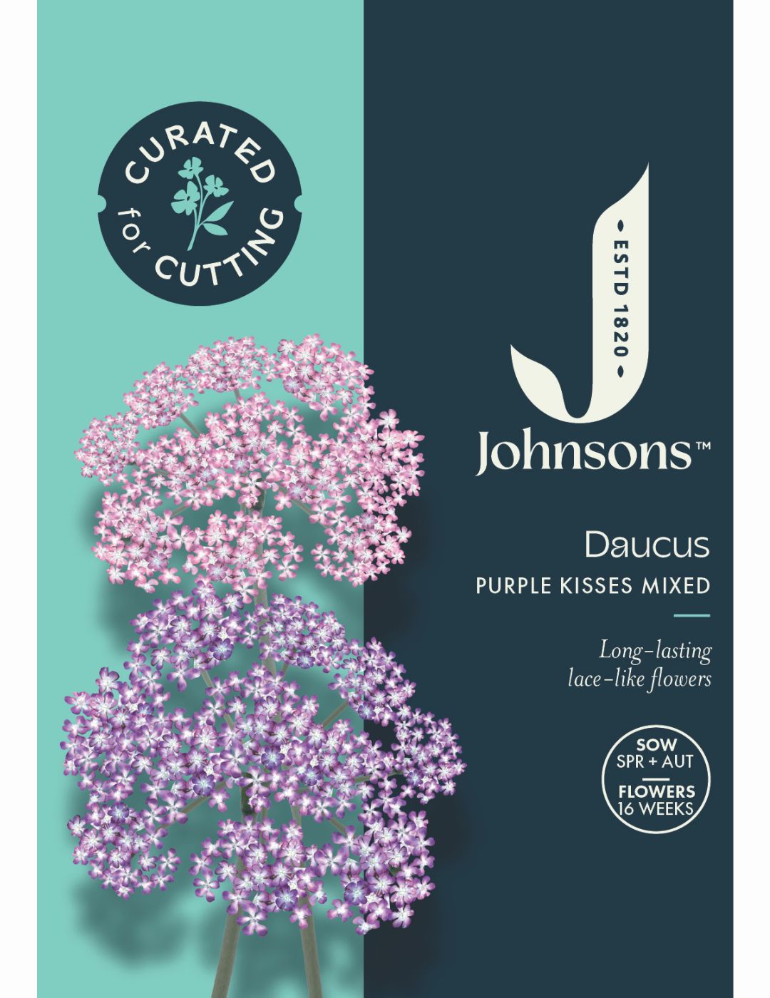 Daucus Purple Kisses Mixed Seeds