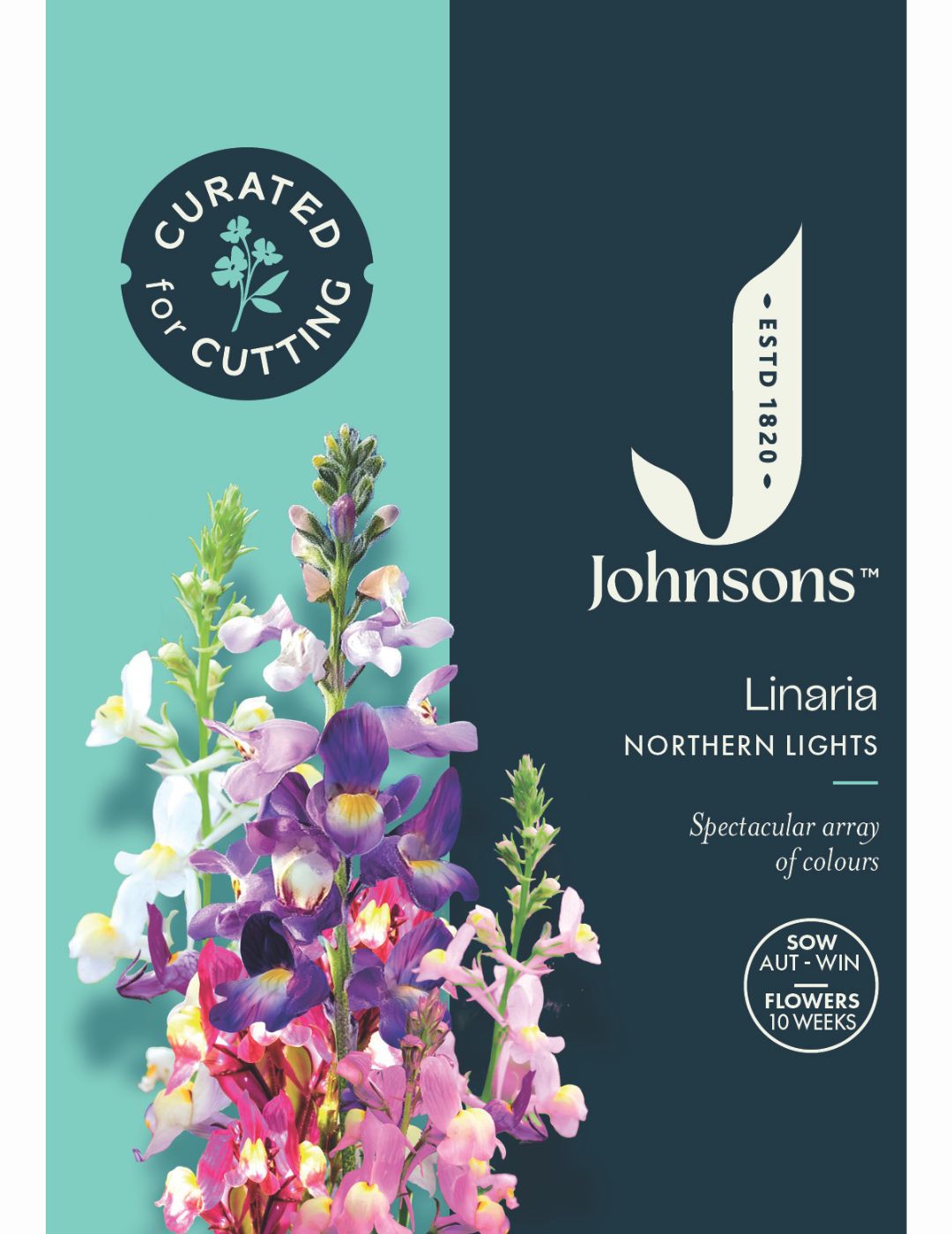 Linaria Northern Lights Seeds