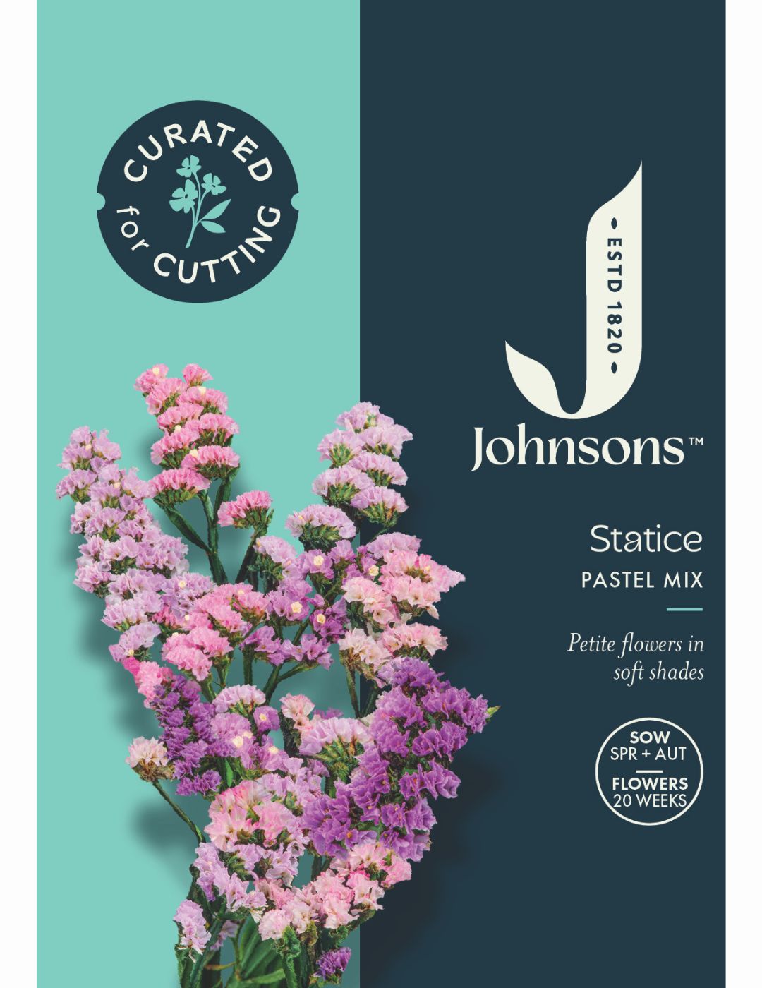Statice Pastel Mix Seeds