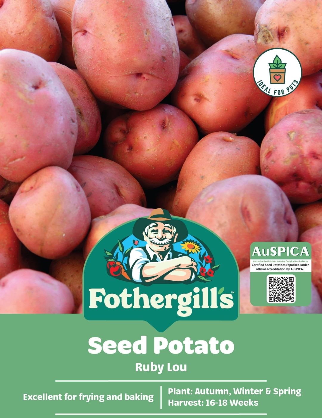 Potato Ruby Lou 500g bag