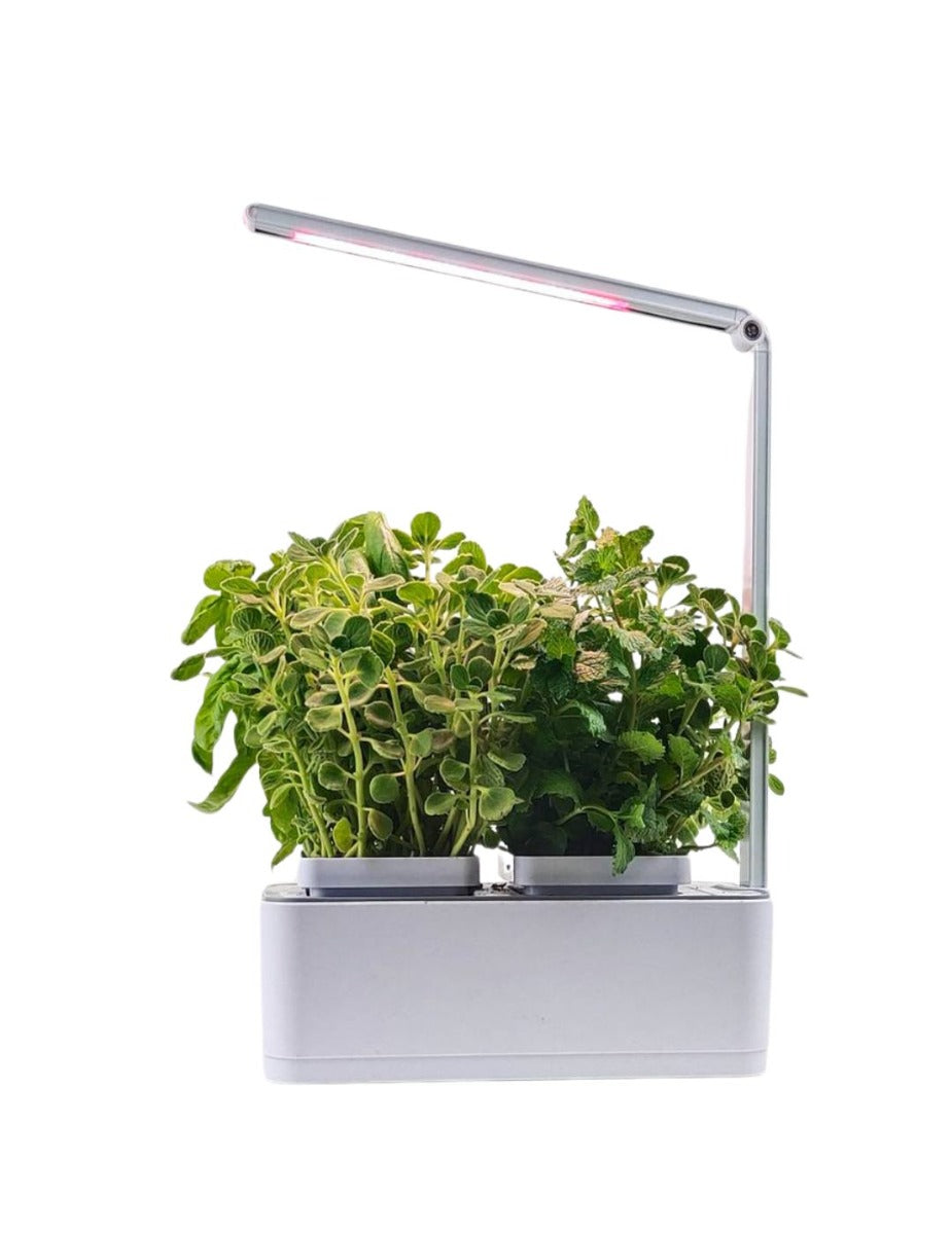 HydroGarden All-In-One Grow Kit