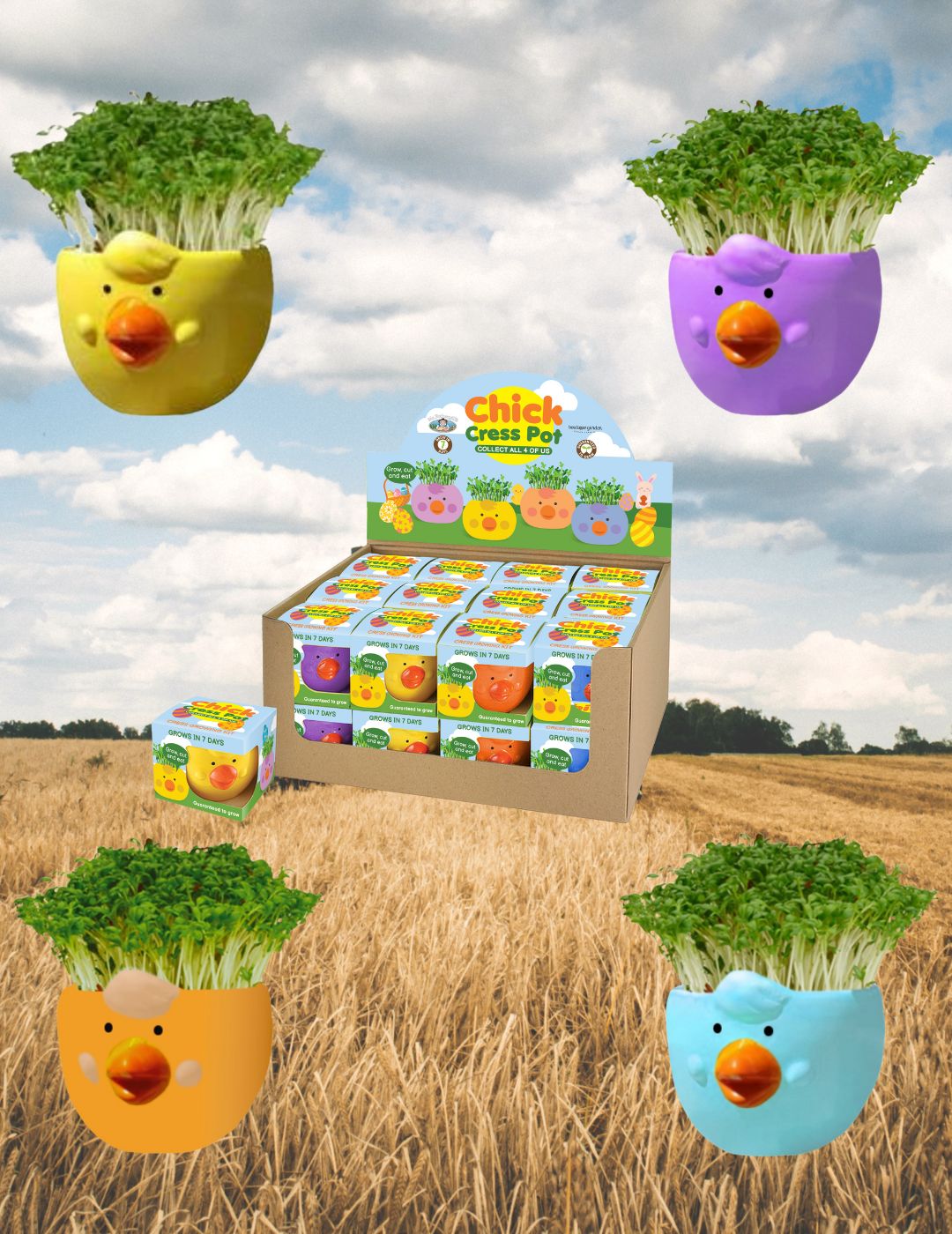 Easter Cress Chick (4 Pack)