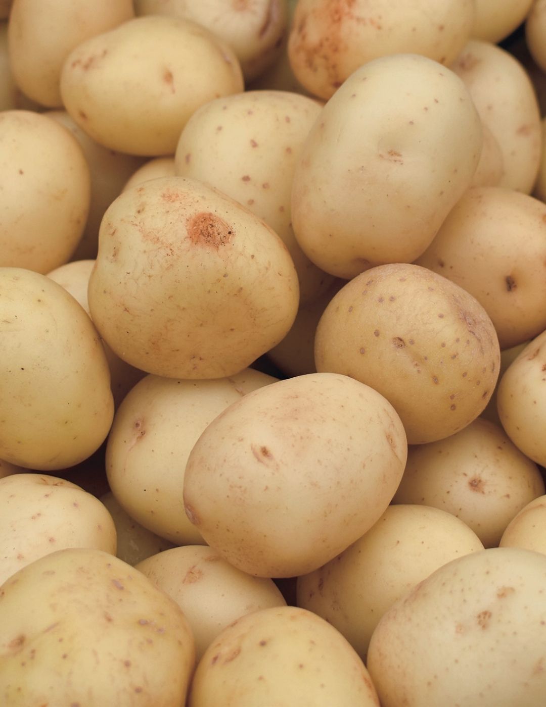 Potato Bliss 500g Bag