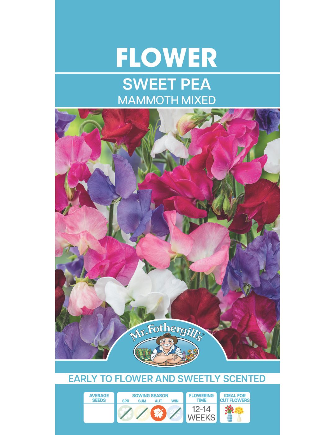 Sweet Pea Mammoth Mixed