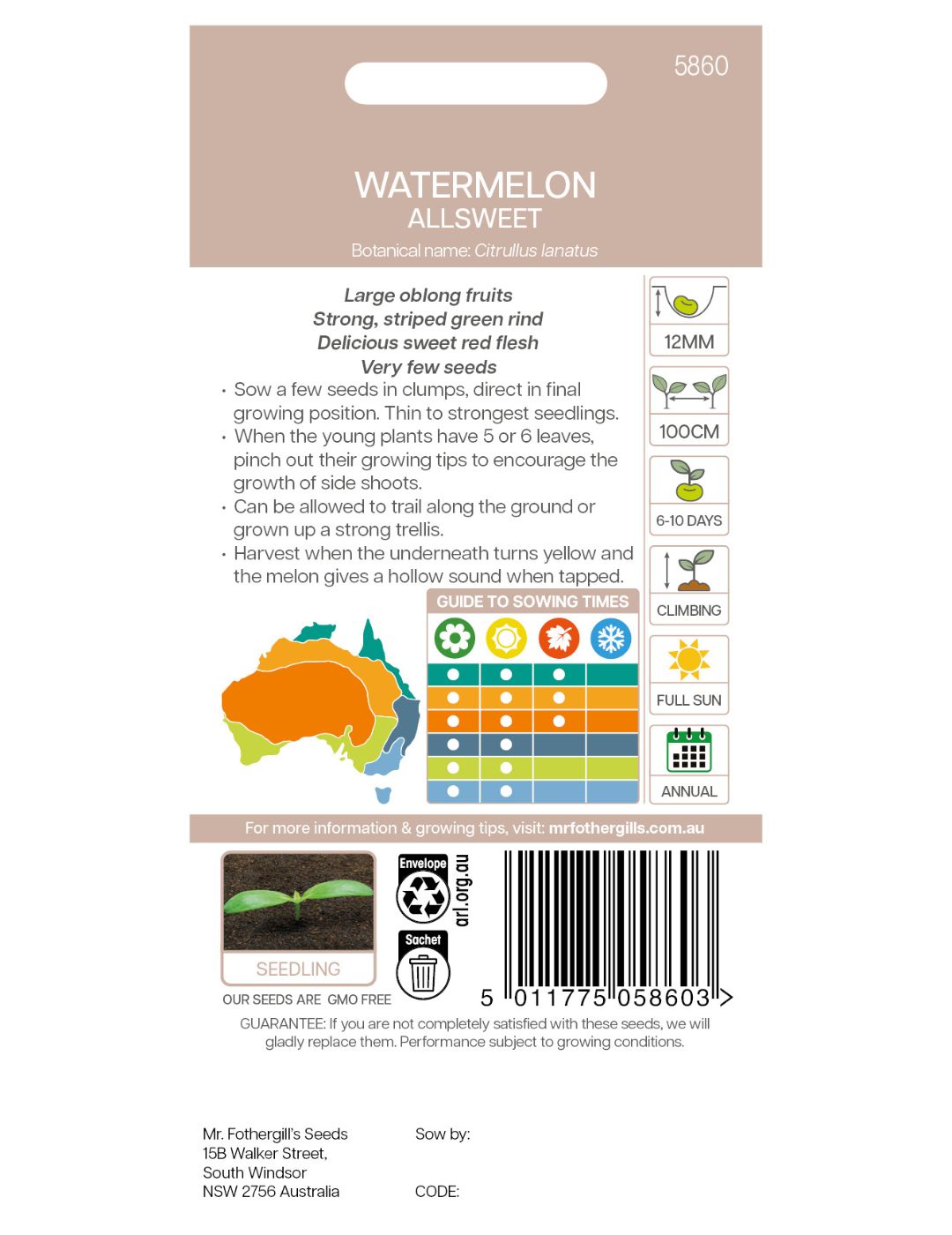 Watermelon Allsweet