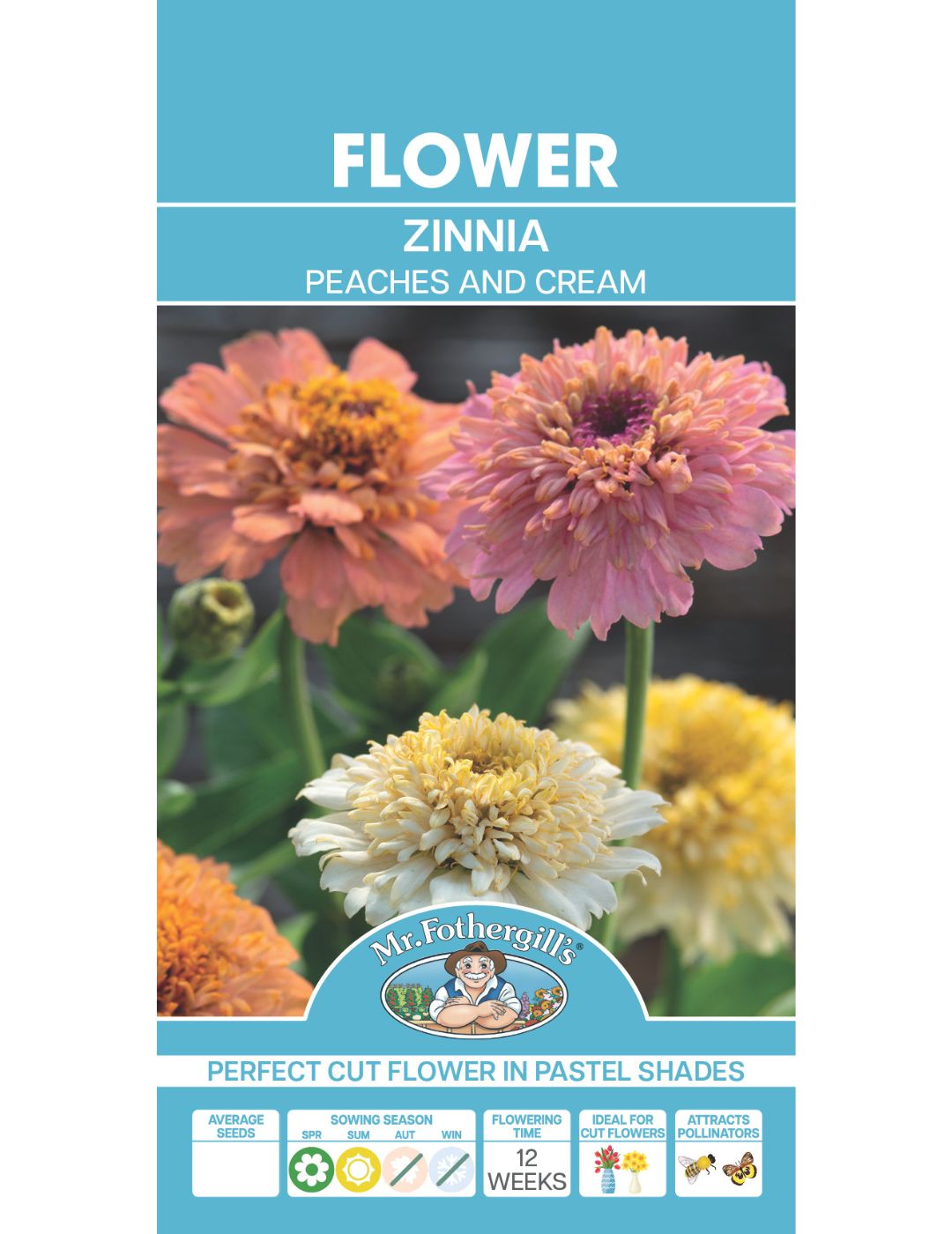 Zinnia Peaches & Cream Mixed - LIMITED EDITION
