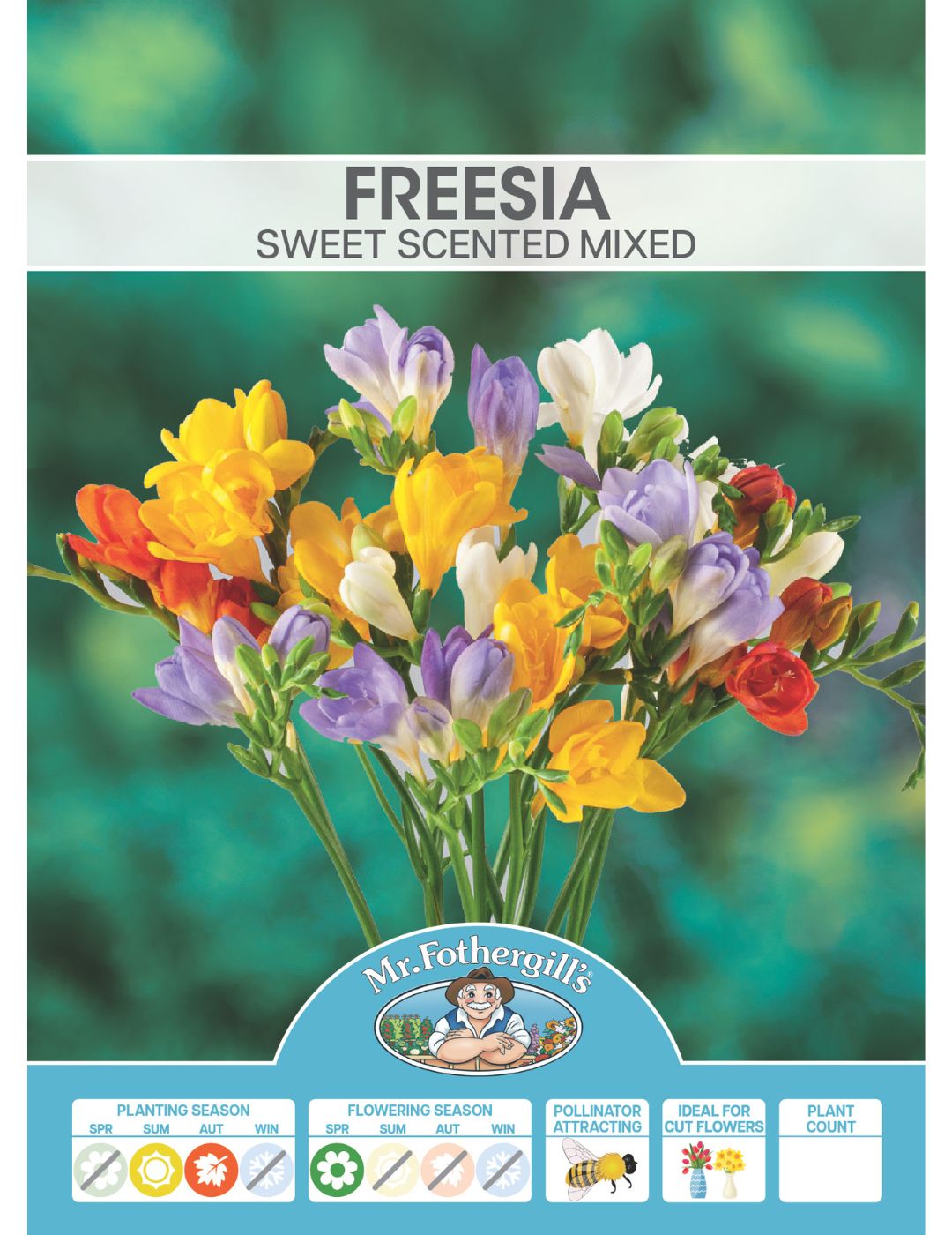 Freesia Sweet Scented Mix Bulbs