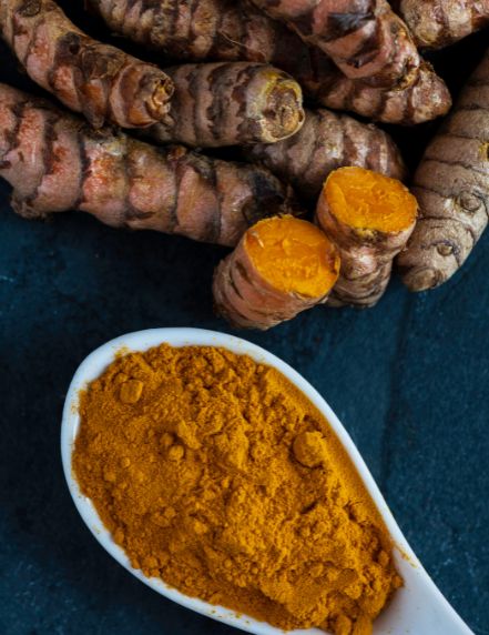 Turmeric Rhizome
