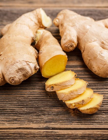 Ginger Rhizome