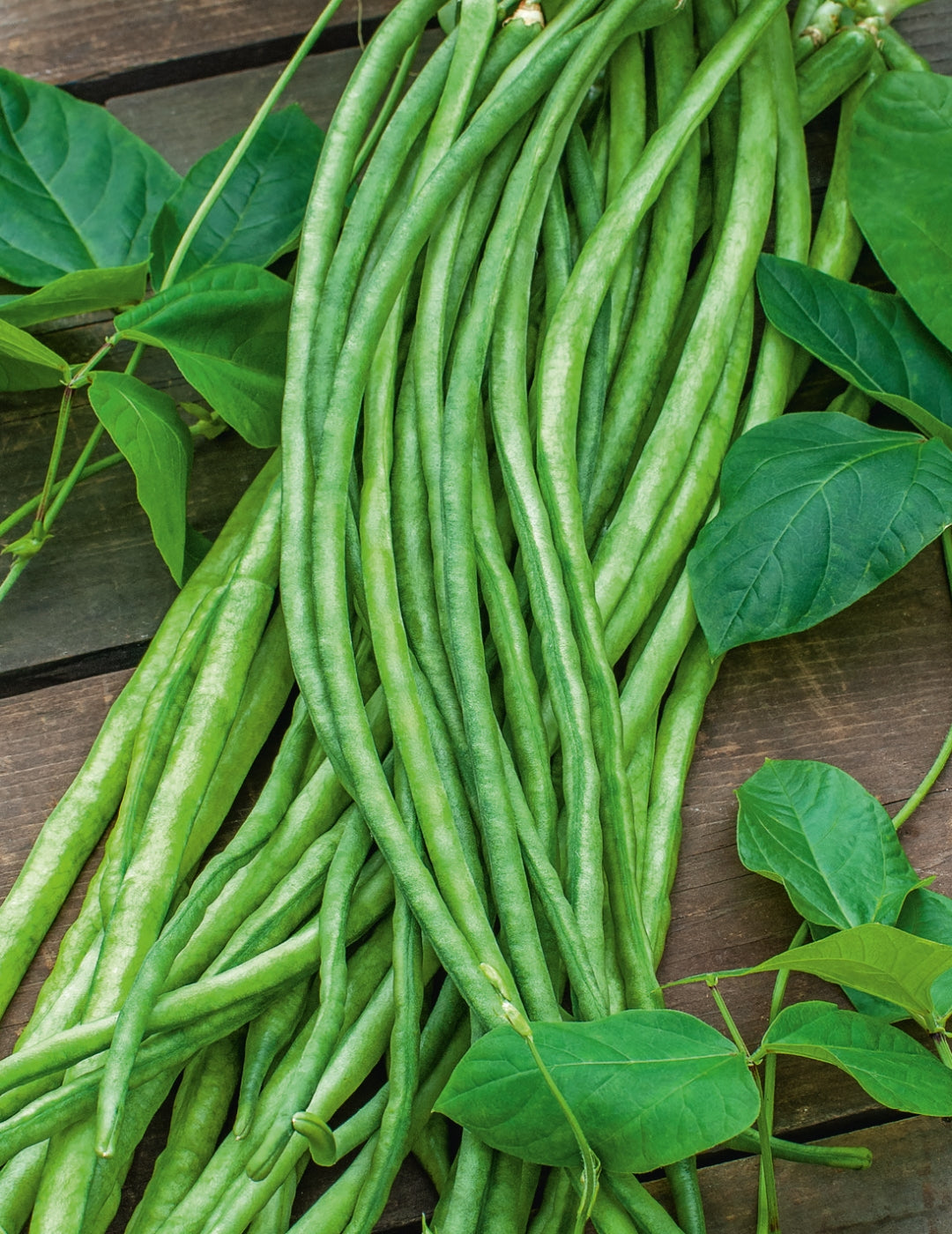 Snake Bean Seeds