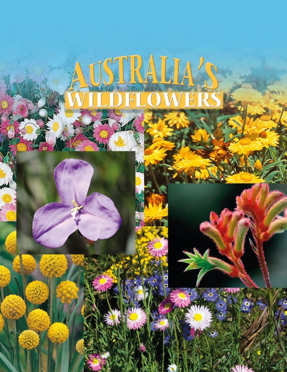 Australian Native Seeds Australian Wildflower Seeds Mr Fothergill