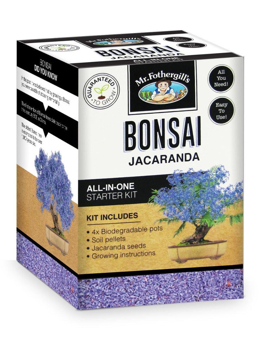 Jacaranda Bonsai Starter Kit Mr Fothergills Seeds