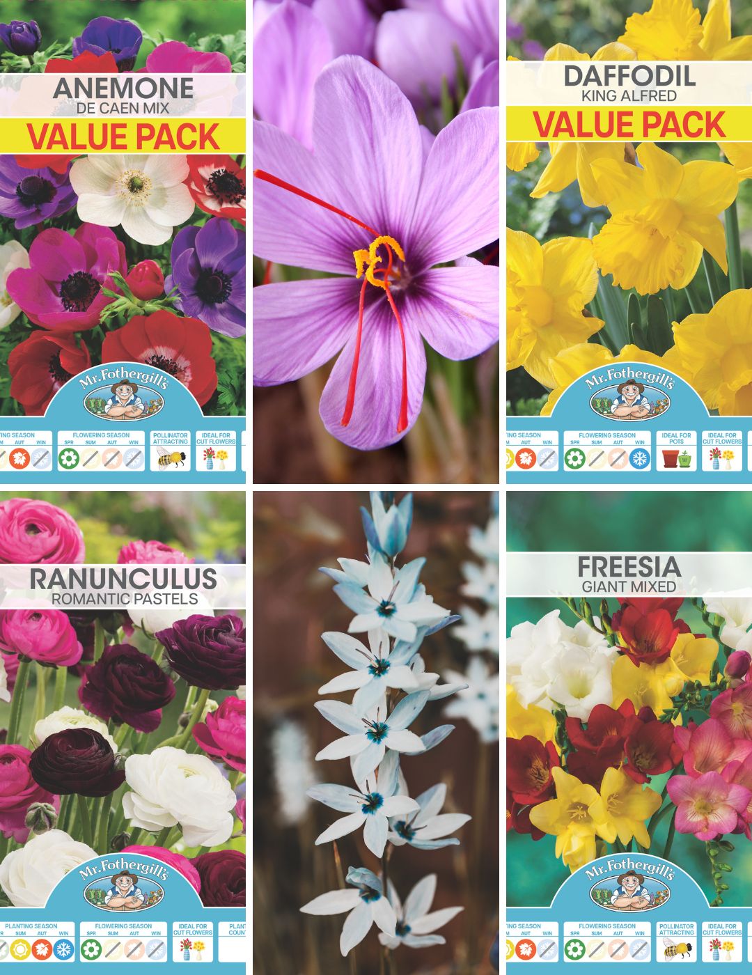 Favourites Bulb Bundle