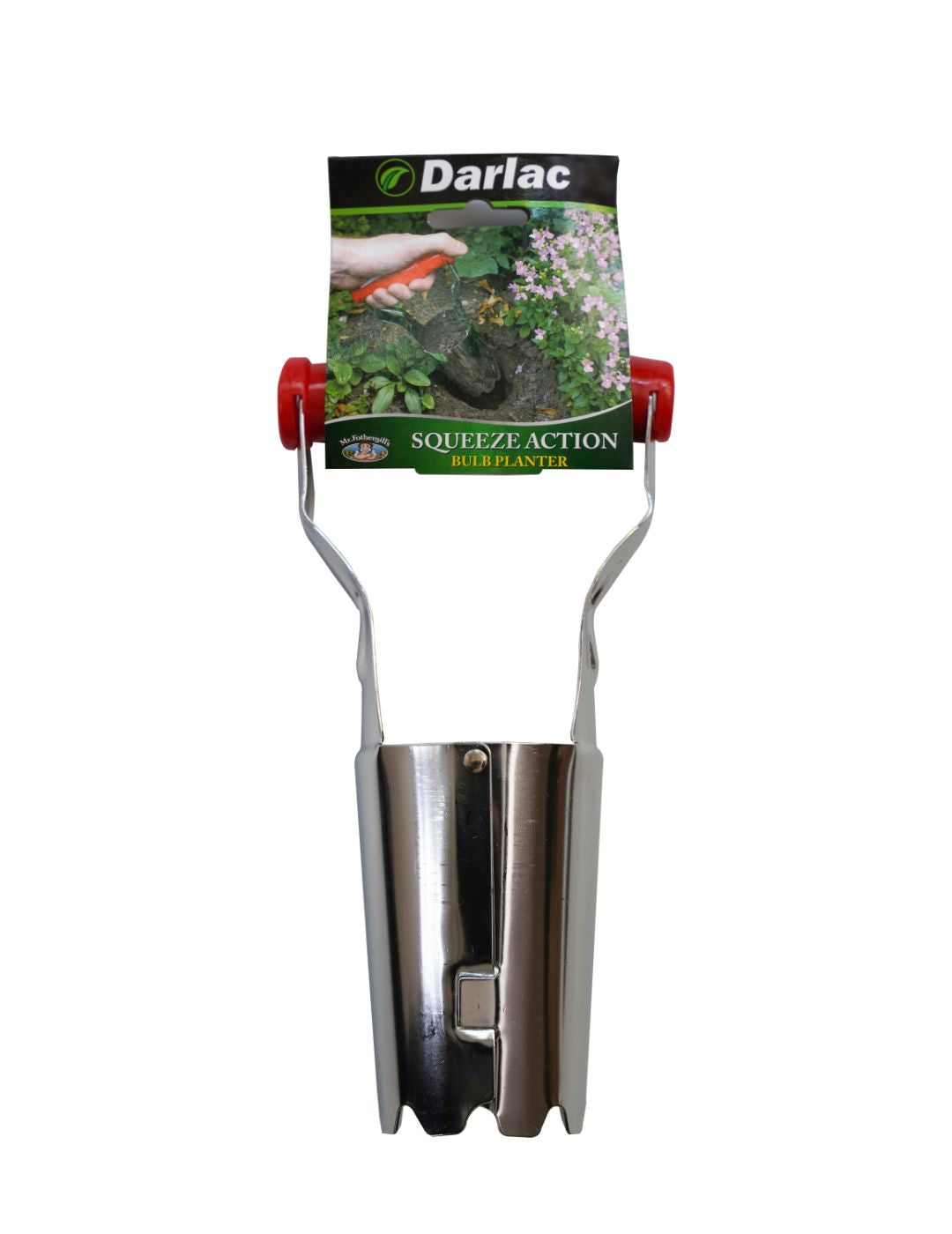Darlac Bulb Planter