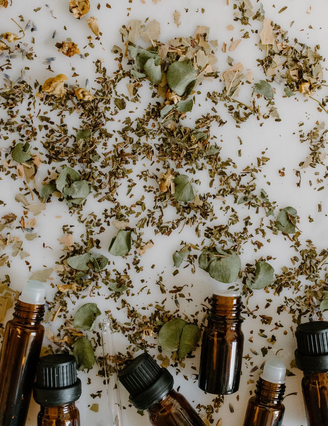 Essential Oils Seed Bundle