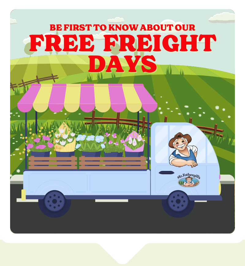 The Oh Sow Simple range, from Mr Fothergill's shown on a picnic bench.