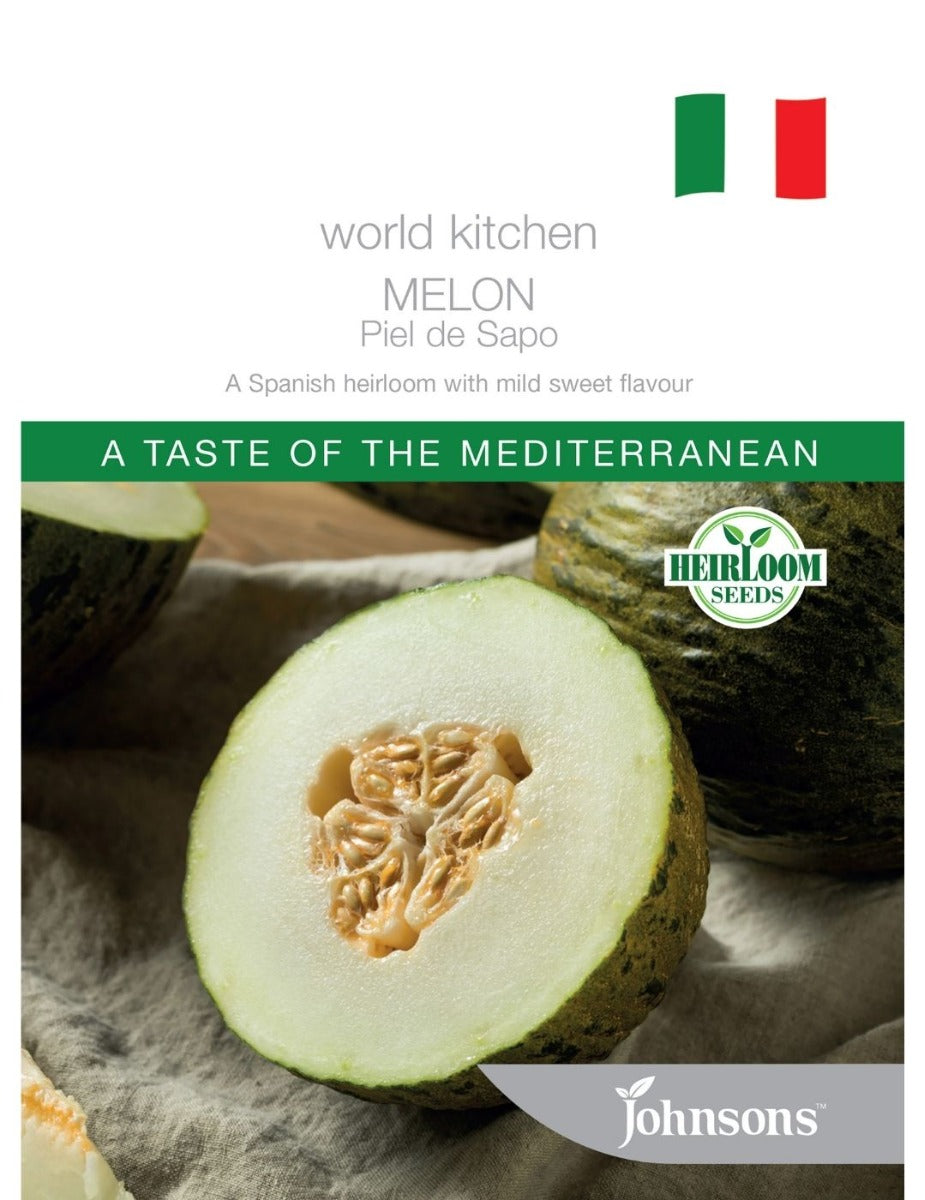 Melon Piel de Sapo