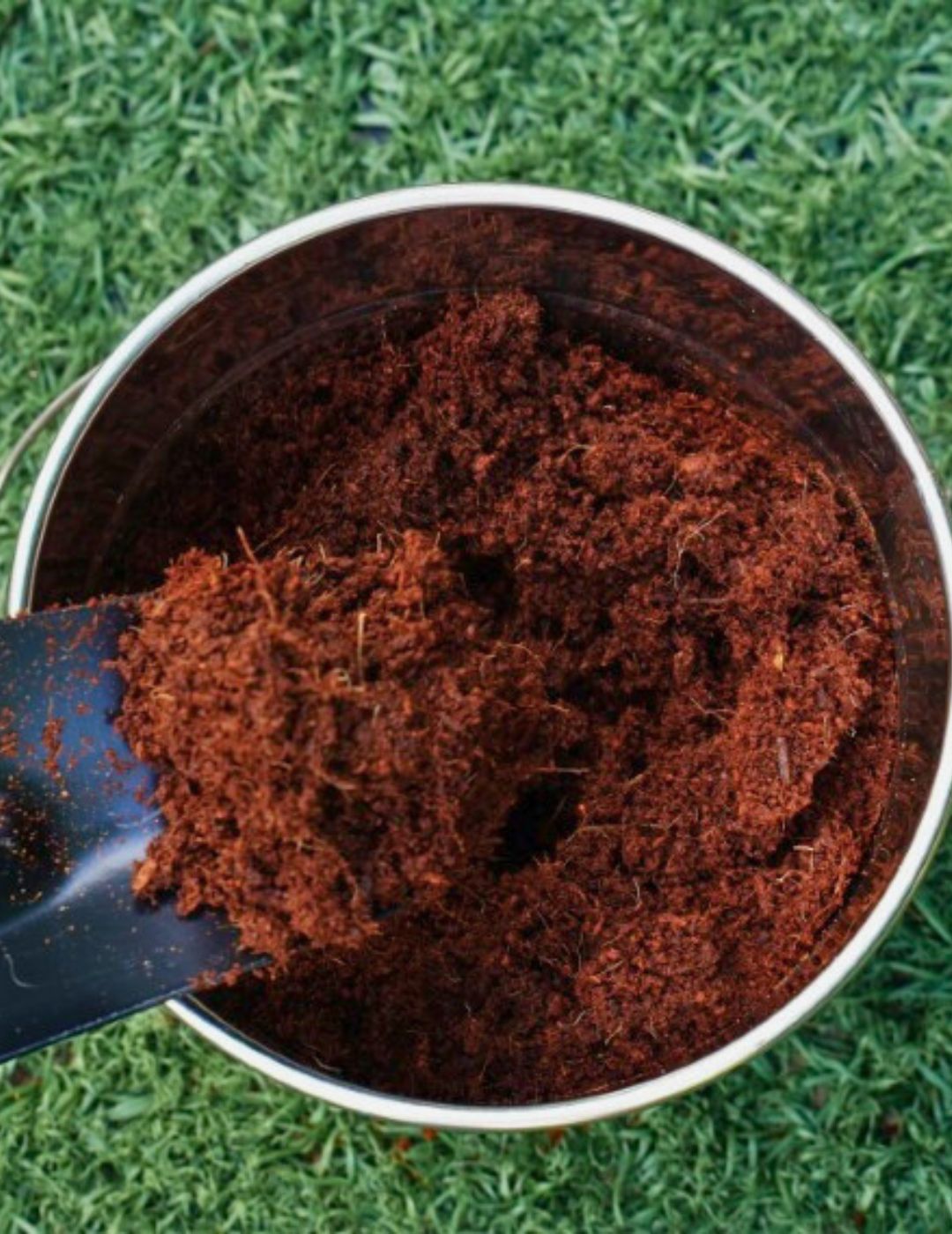 Coco Fibre Enriched Seed Starting Mix 10L