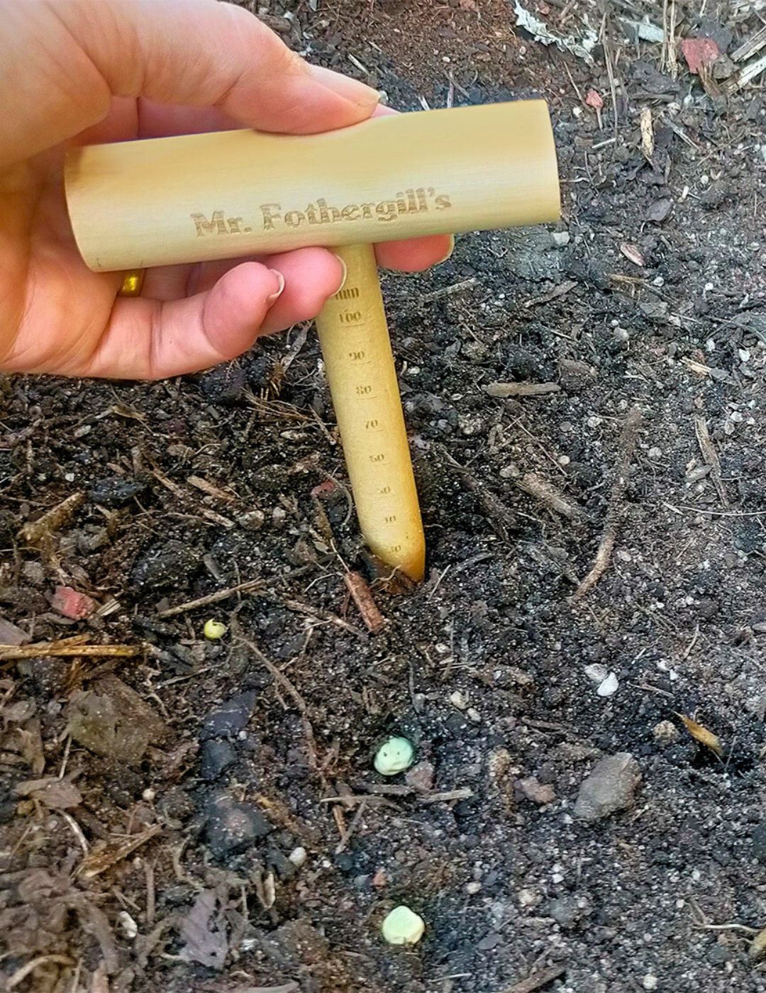 Wooden Seed Sowing Dibber Stick