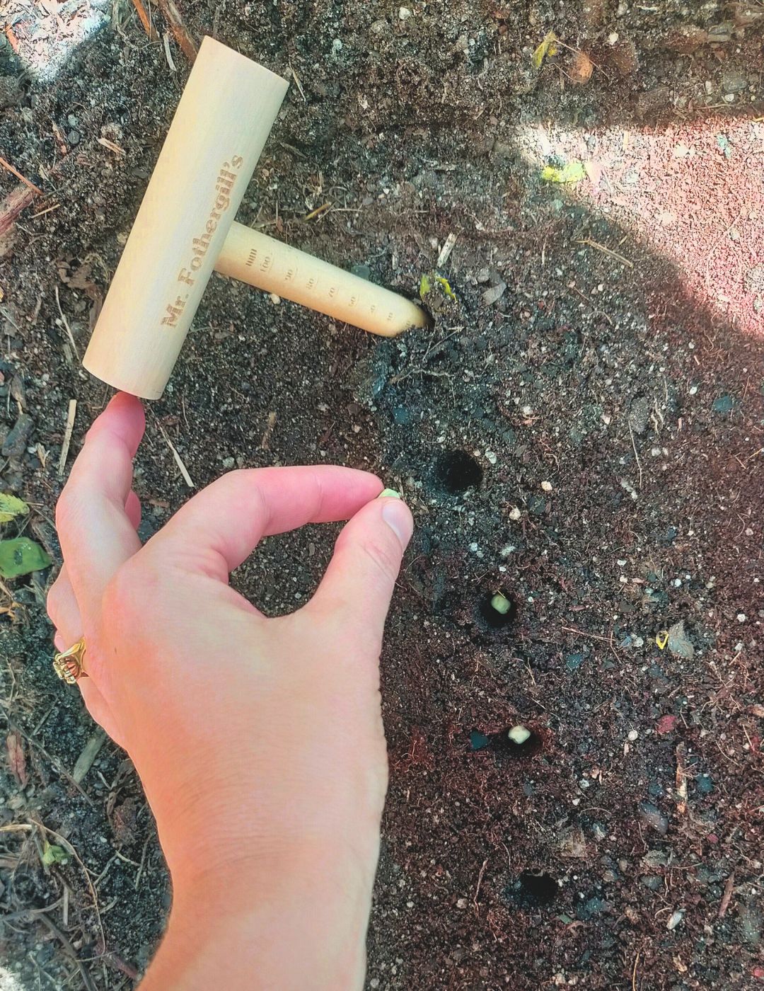Wooden Seed Sowing Dibber Stick