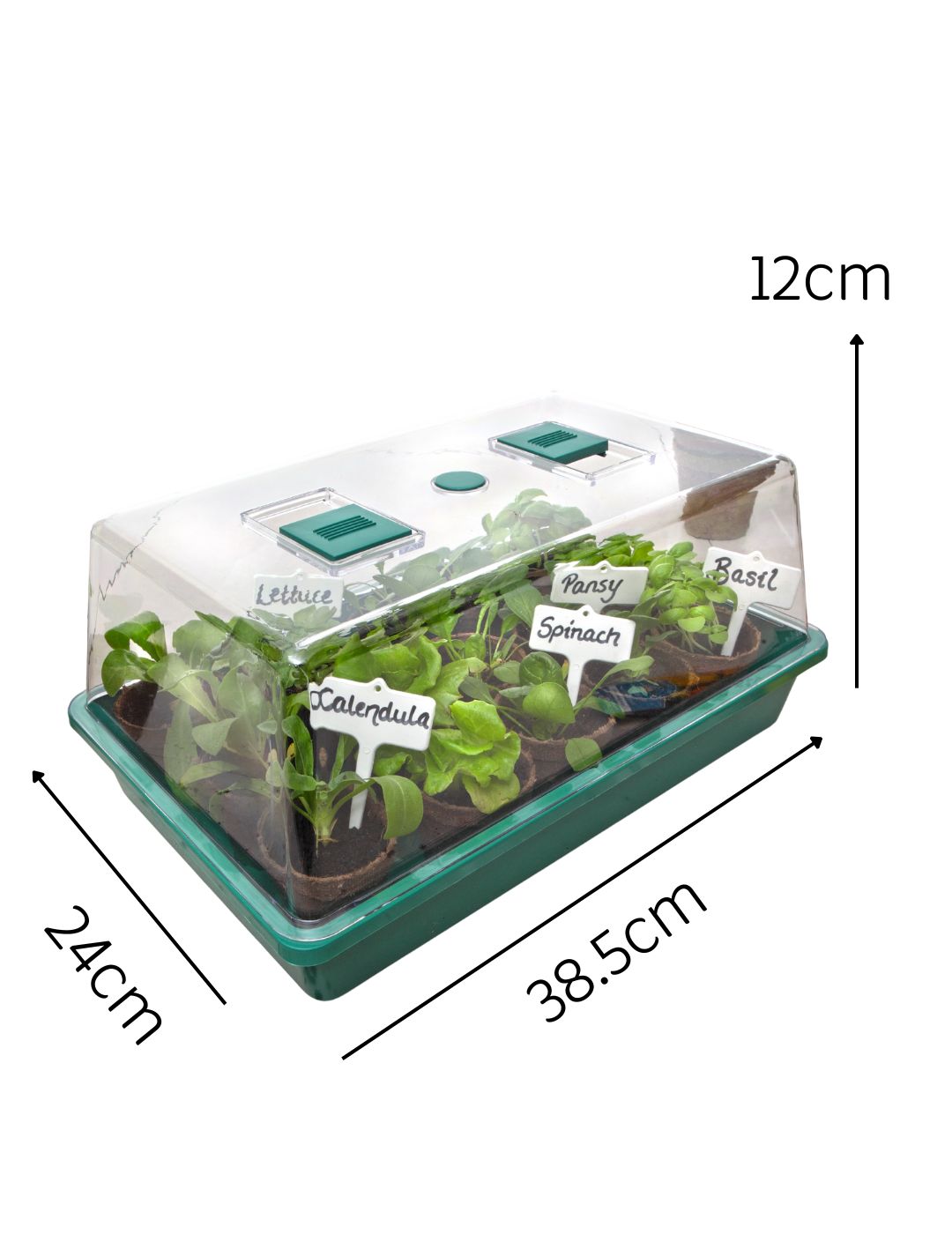 Seed and Cutting Greenhouse