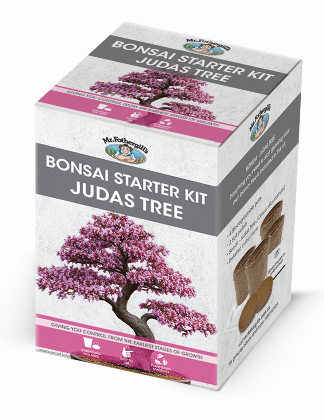 Bonsai Starter Kit - Judas Tree