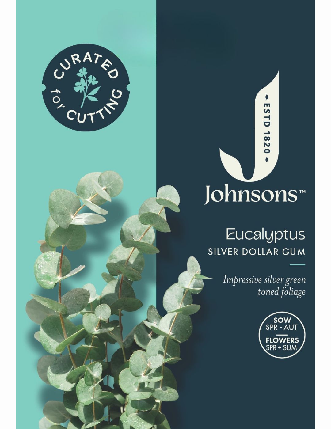 Eucalyptus Silver Dollar Gum Seeds