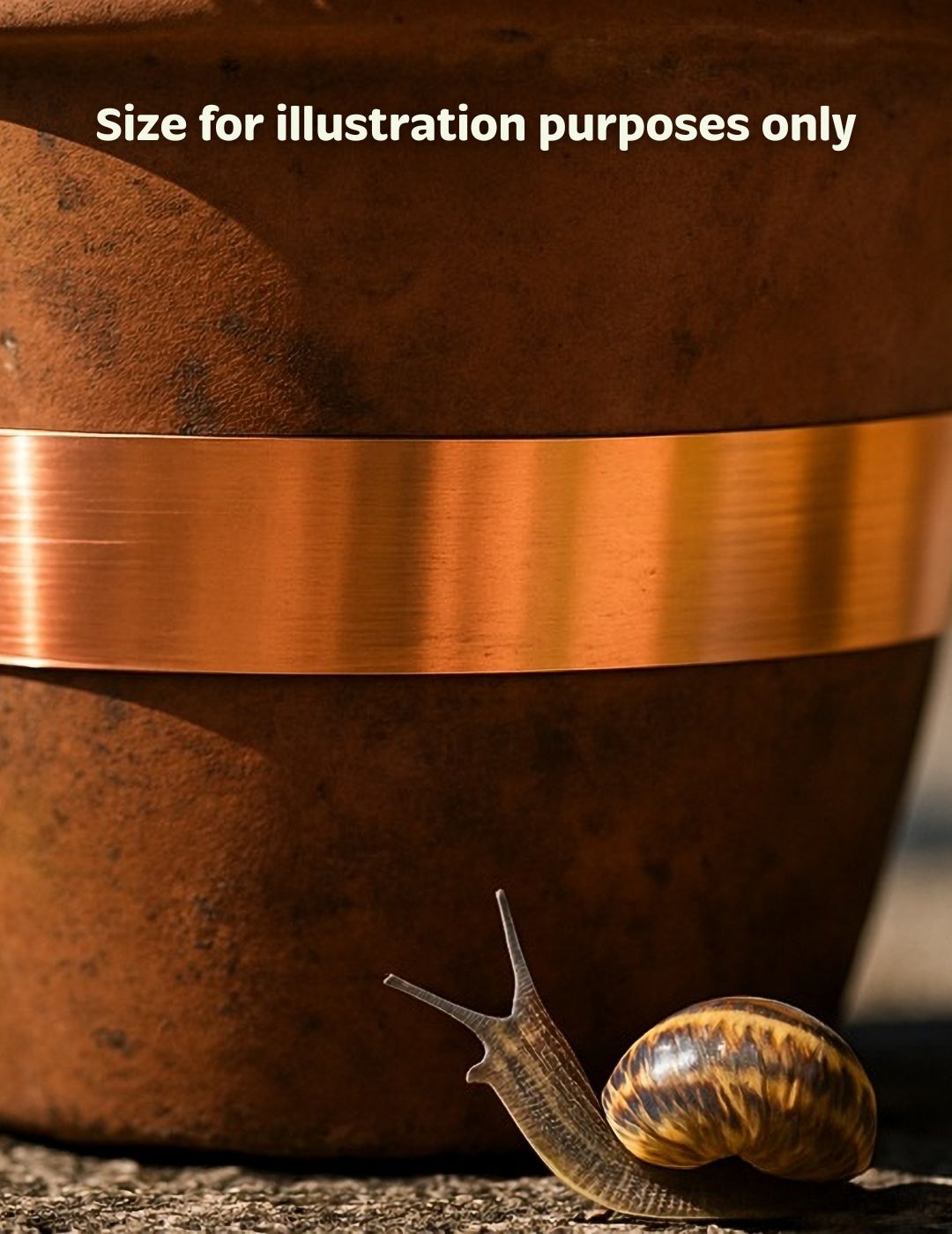 Snail & Slug Copper Tape