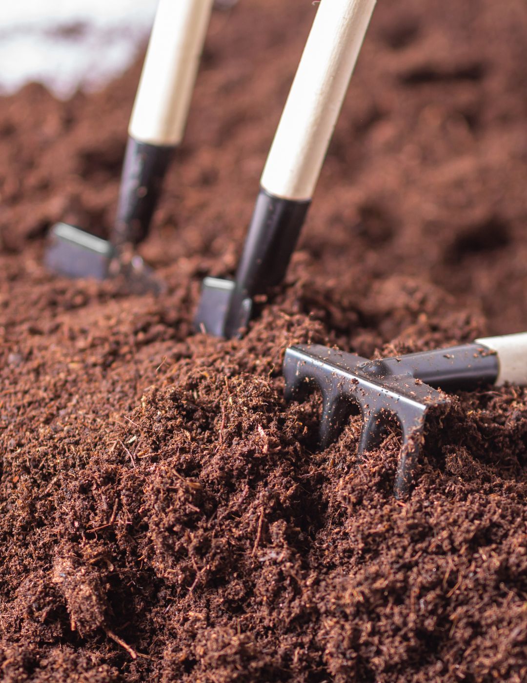 Mini Garden Tools Set