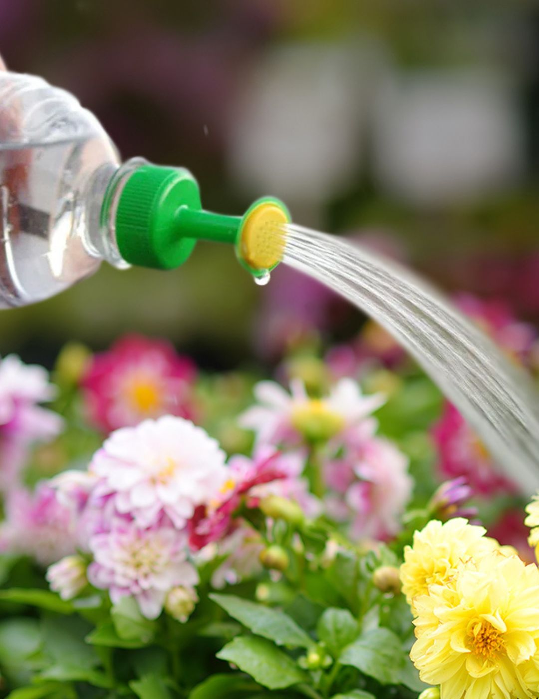 Bottle Top Sprinklers 3 Pack
