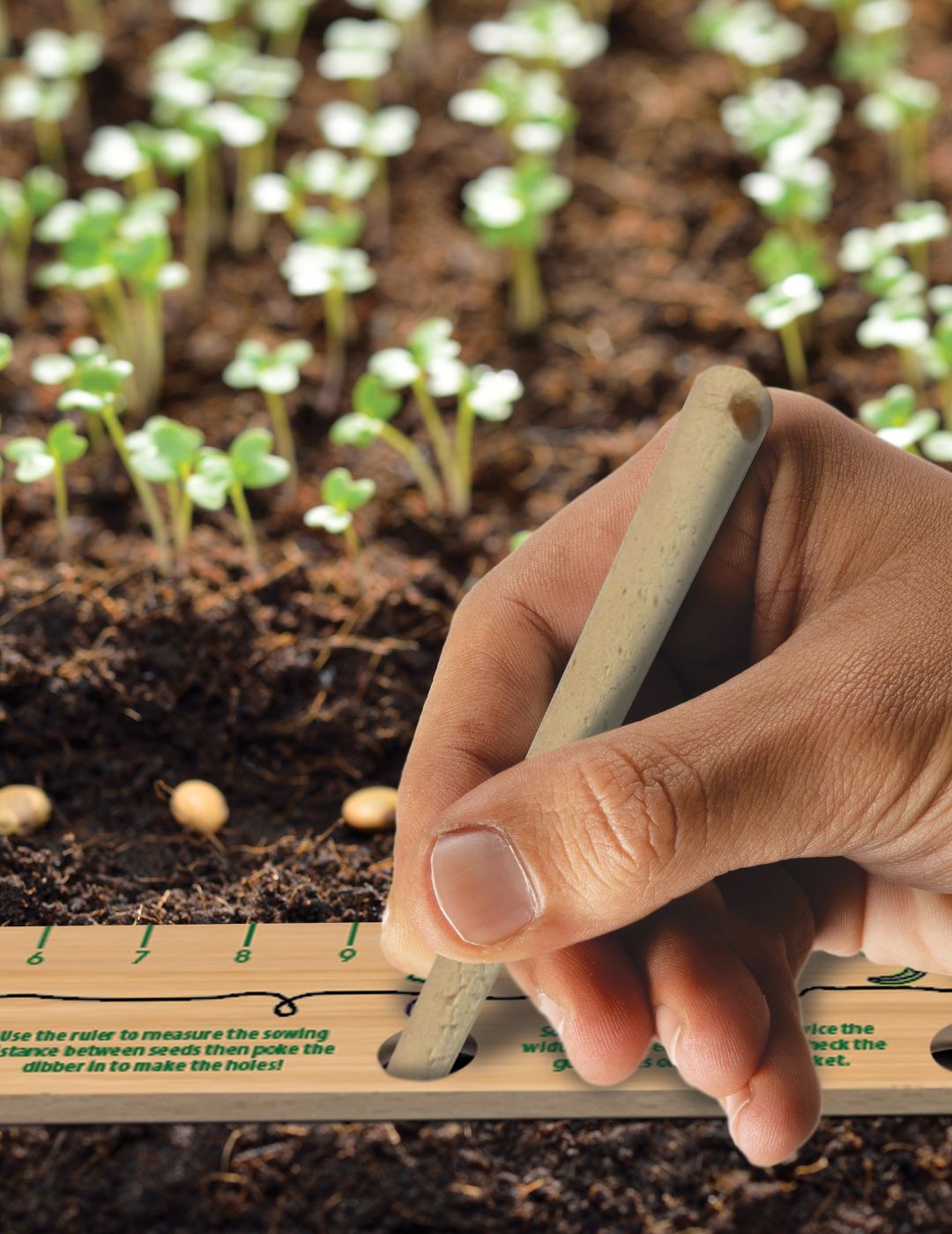 Seeding Ruler With Dibber