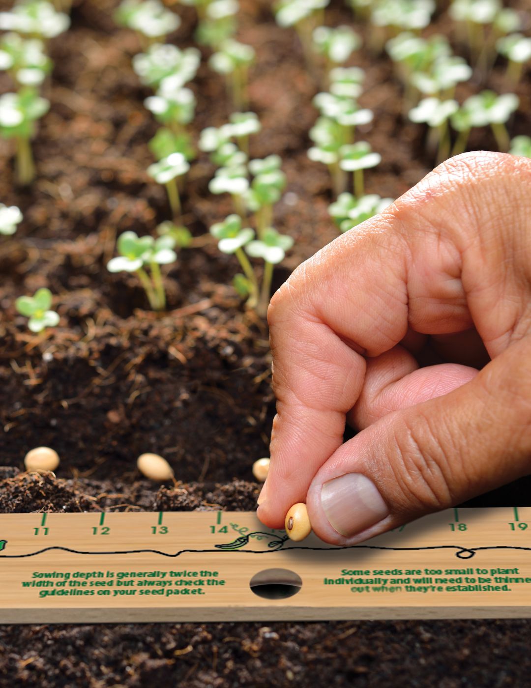 Seeding Ruler With Dibber