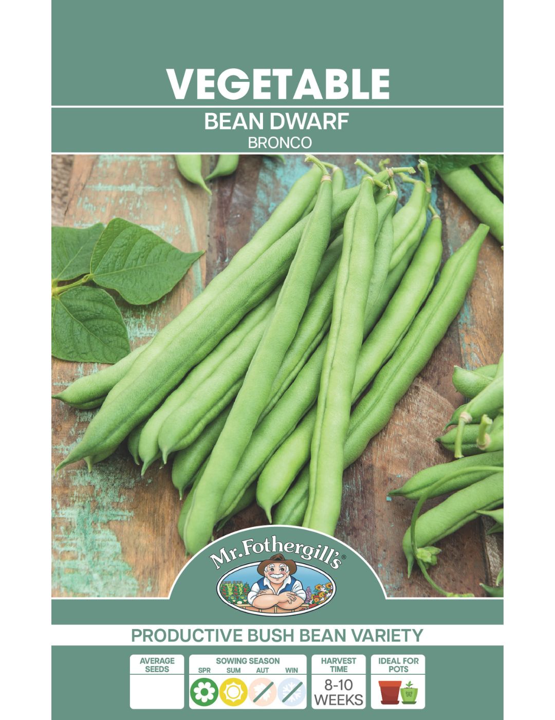 Dwarf Bronco Bean Seeds